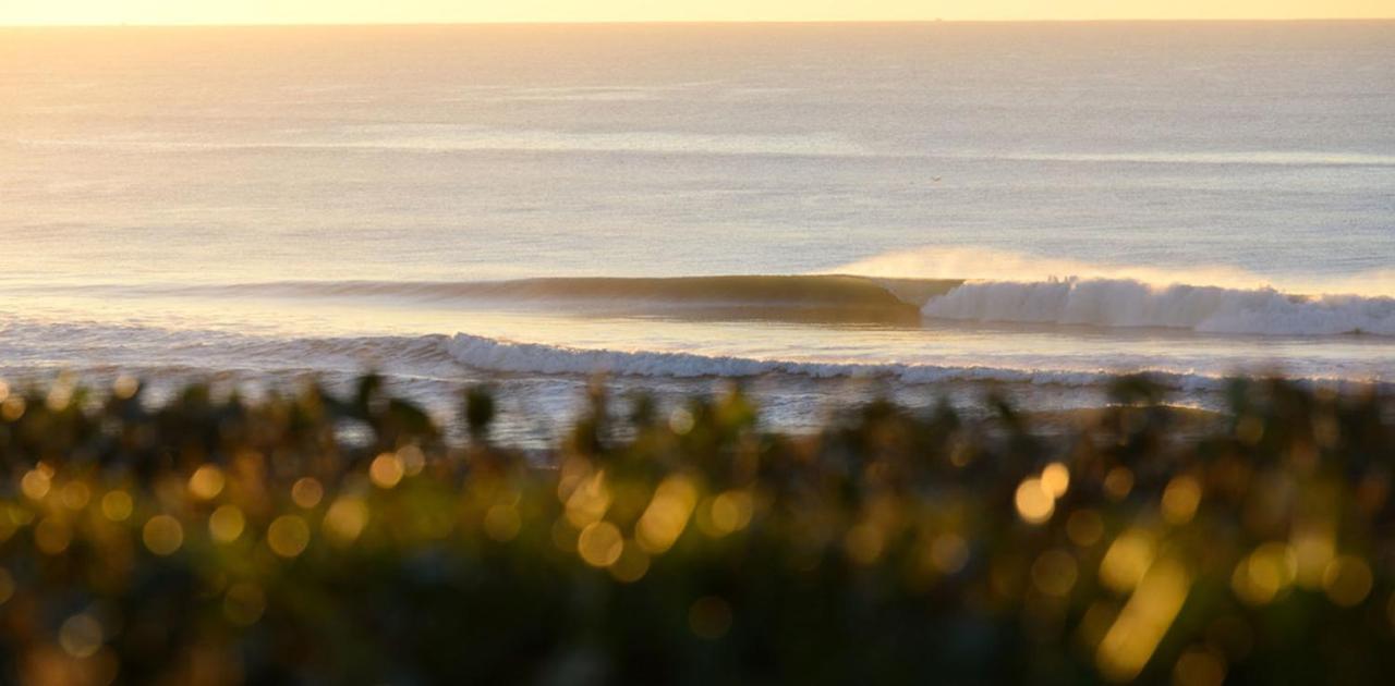 The Spot Surfcamp Hotel Biscarrosse Kültér fotó